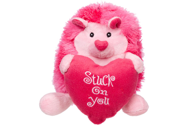 10 Great Gifts for Beloved Feline and Canine Valentines